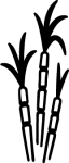 Recurso 44